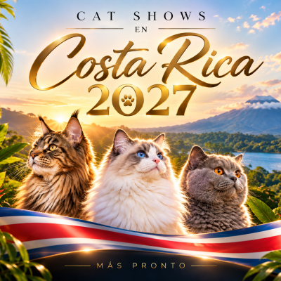 2027